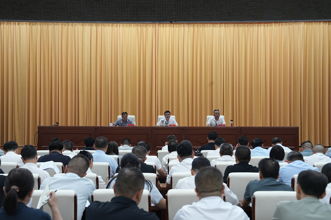全市常态化帮扶持续巩固拓展脱贫攻坚成果推进会召开