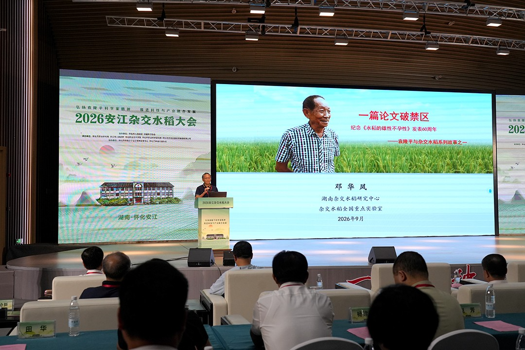 2026安江杂交水稻大会主旨报告会圆满召开