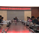 【视频】市委理论学习中心组举行2020年第五次集体学习