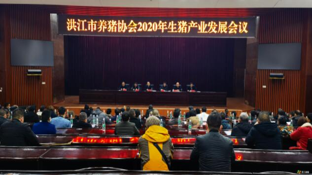 2020年生猪产业发展会议召开，张龚提出三点建议