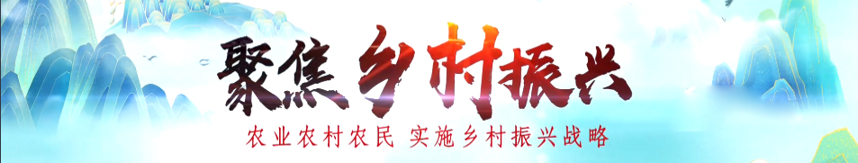 f915a4c740e4fd4e91038f506df6dac.jpg