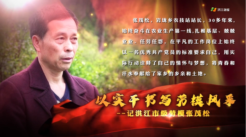 劳模风采以实干书写劳模风采记洪江市级劳模张茂松