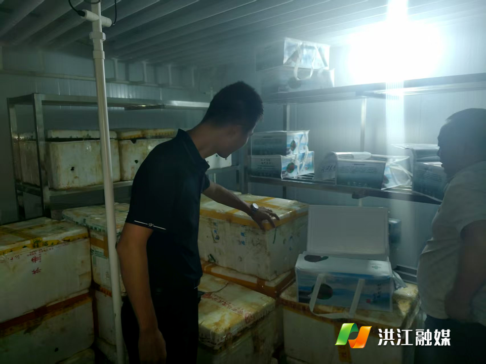 【托口镇】“四上企业”大走访 精准服务助力乡村振兴