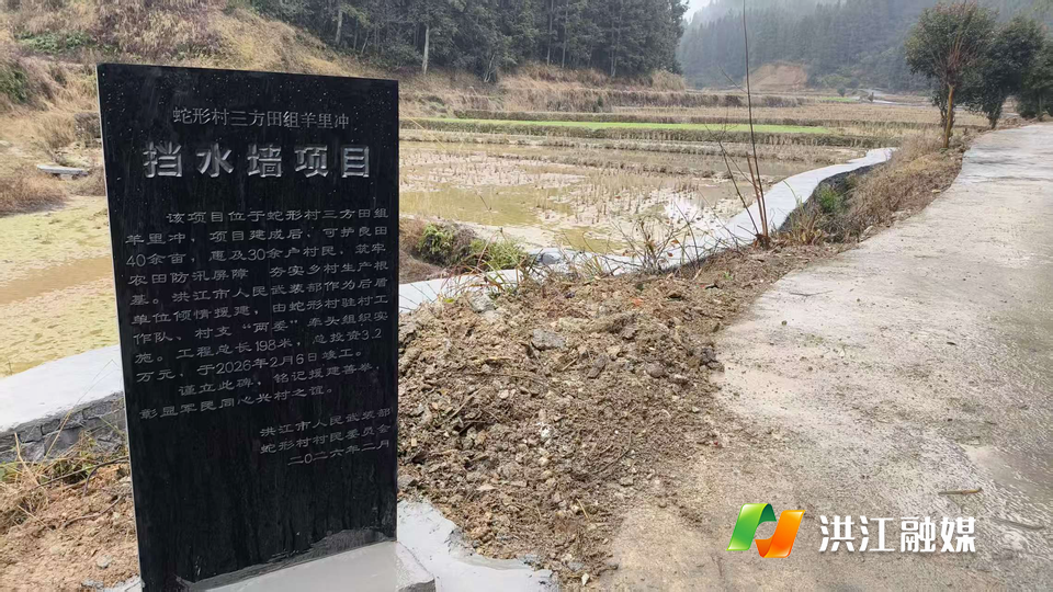 市人武部：军民同心筑牢防汛墙 乡村振兴再添新保障