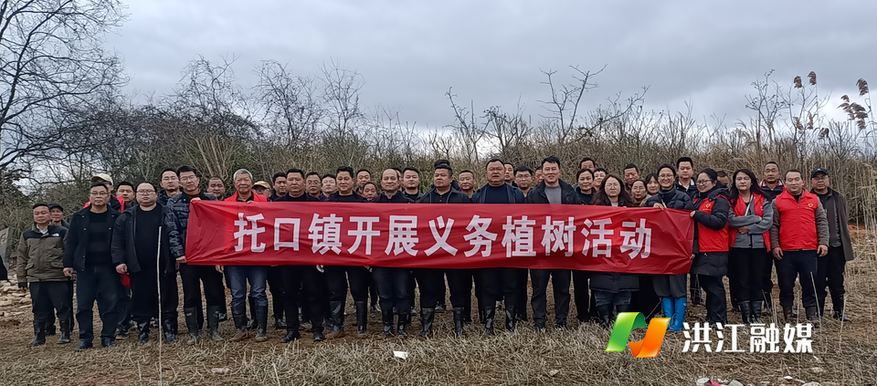 【托口镇】开展义务植树活动