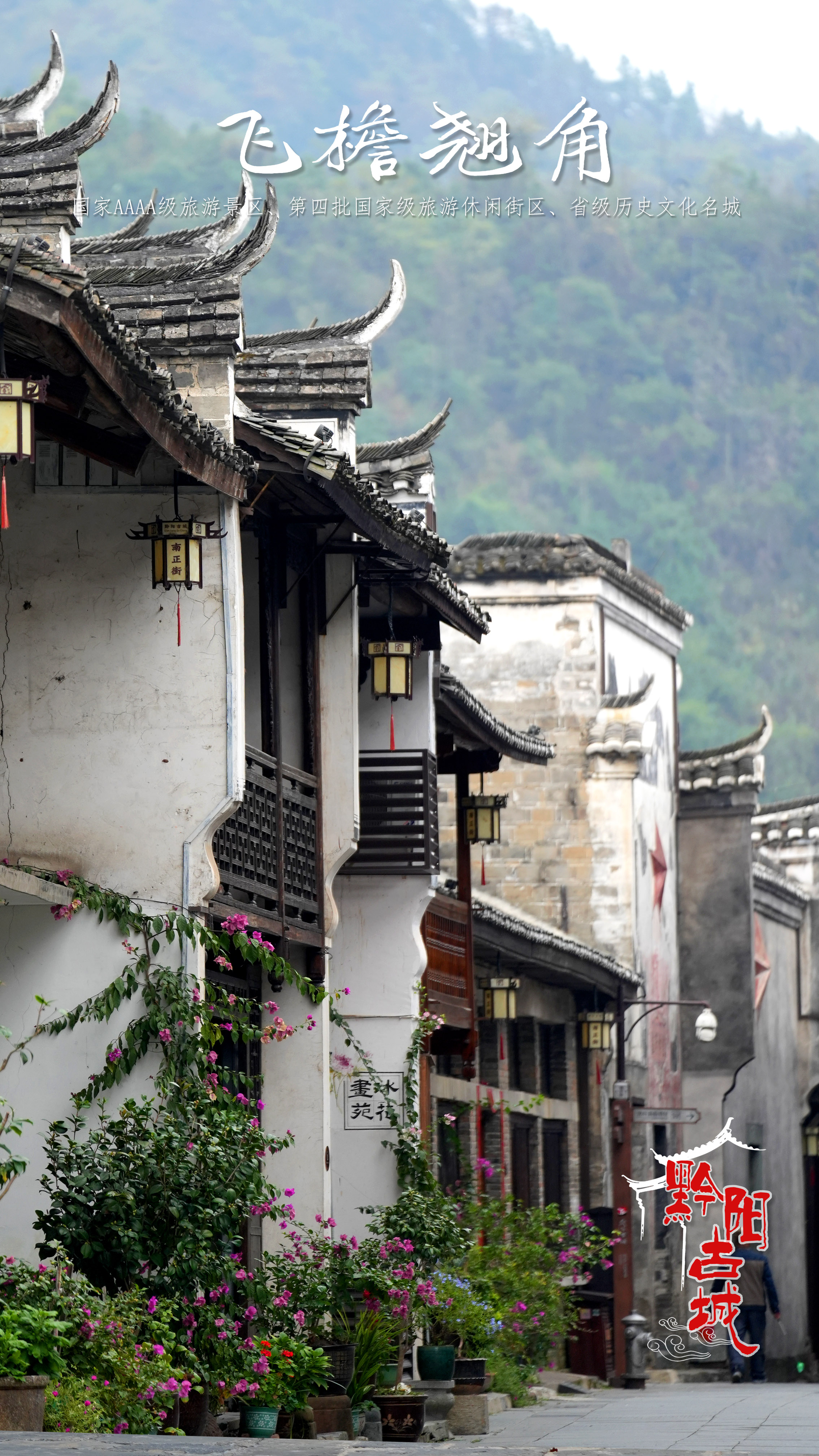 图八.jpg 图八.jpg