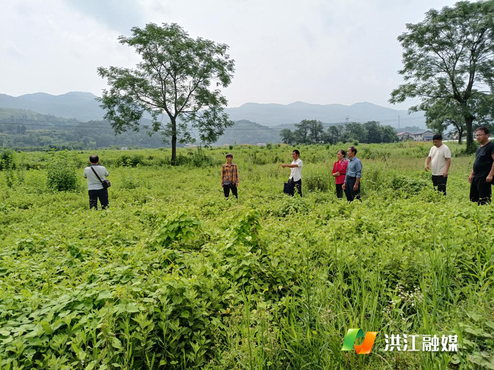 河南农林科技公司怎么选？从农林技术开发到生态农业落地的实战指南