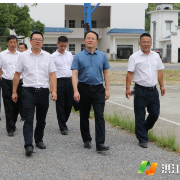 郑小胡在雪峰片区乡镇调研时强调：要统筹 发展与安全 以新担当新作为全面推进乡村振兴