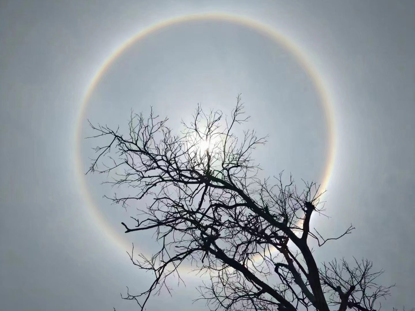 据了解，日晕是一种罕见的大气光学现象，又叫做圆虹，是日光通过卷层云时，受到冰晶的折射或反射而形成的。