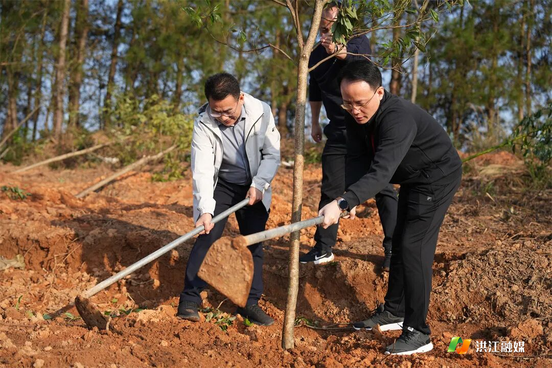 郑小胡、向青松等市领导参加集中义务植树活动