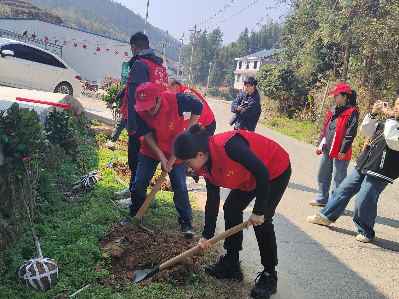 【湾溪乡】播种绿色希望 共建生态家园