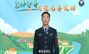视频丨珍爱生命 远离毒品——禁种铲毒 共建无毒家园