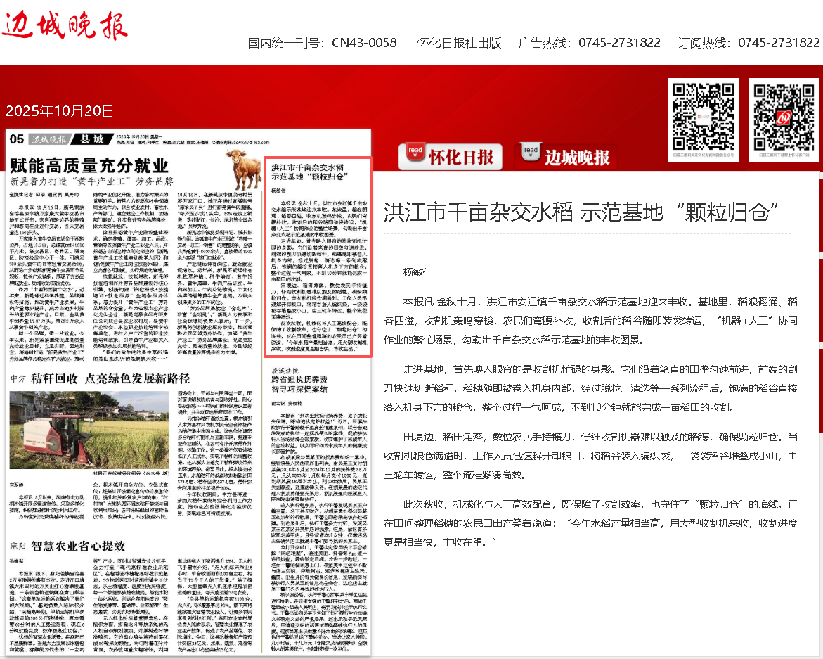 杂交水稻.png