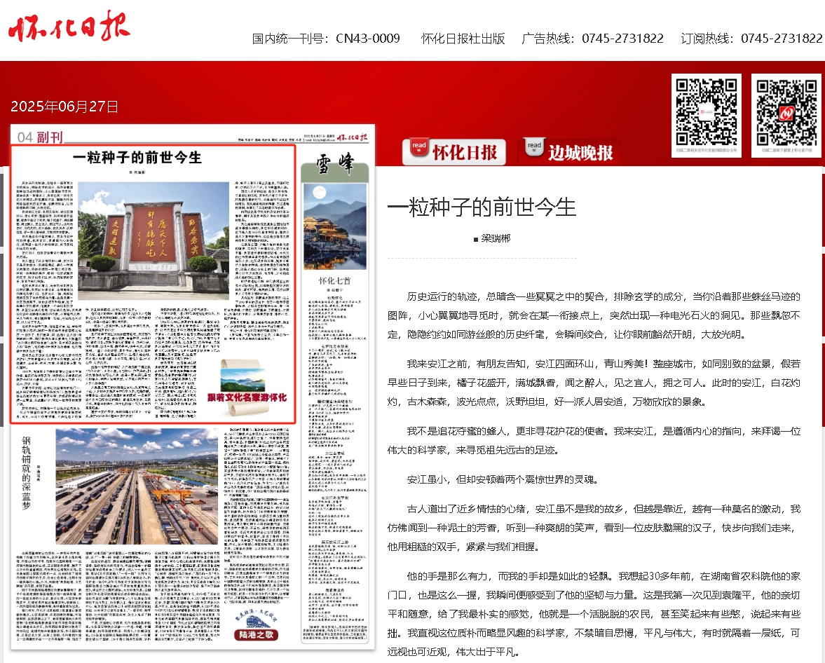 一粒种子.png