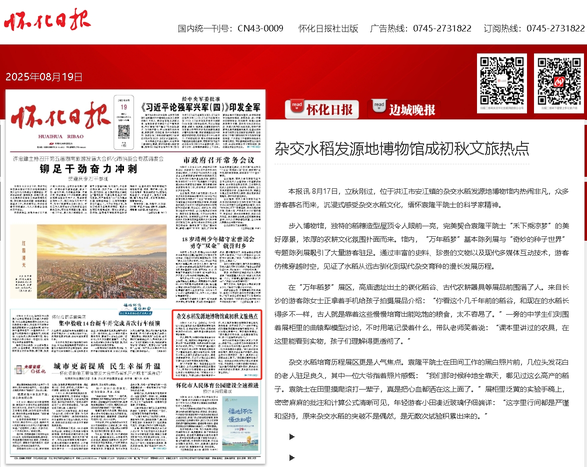 雜交水稻.png