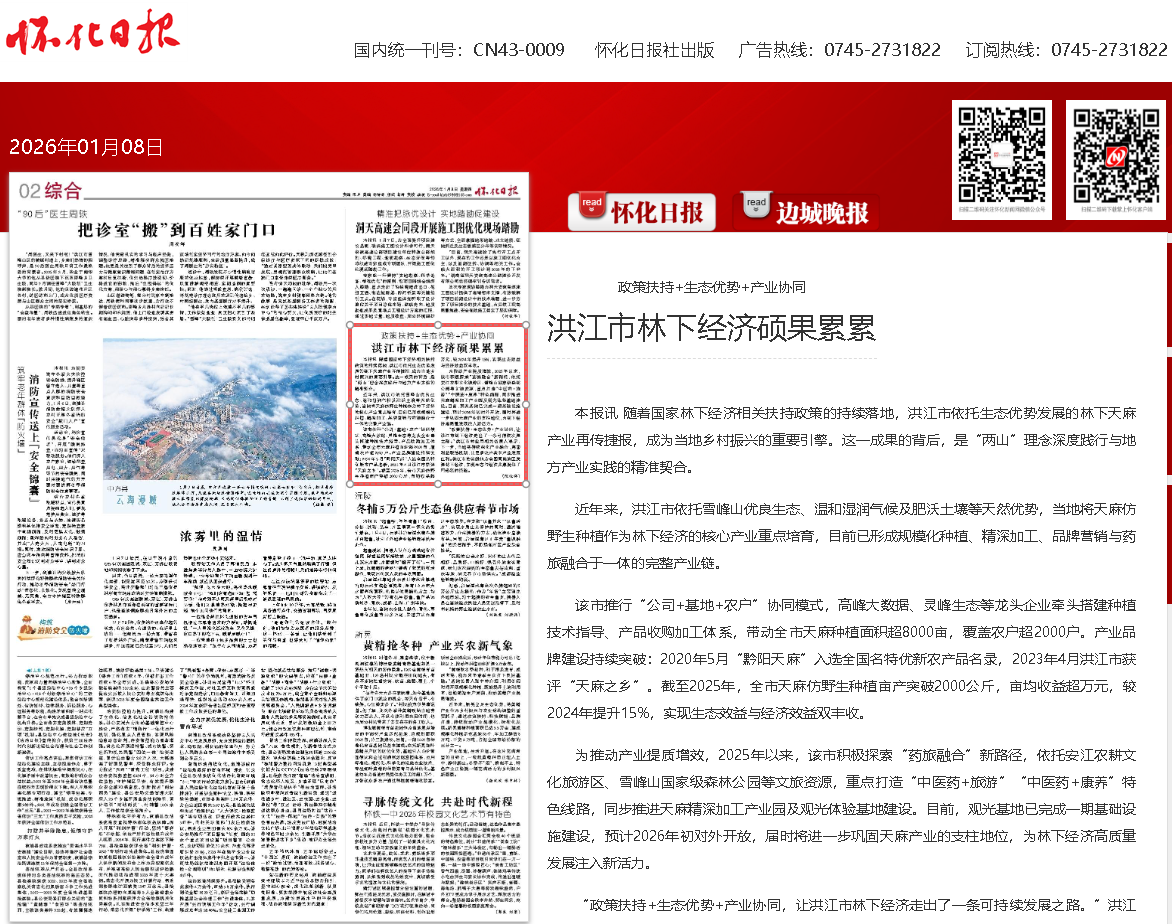 林下.png 林下.png