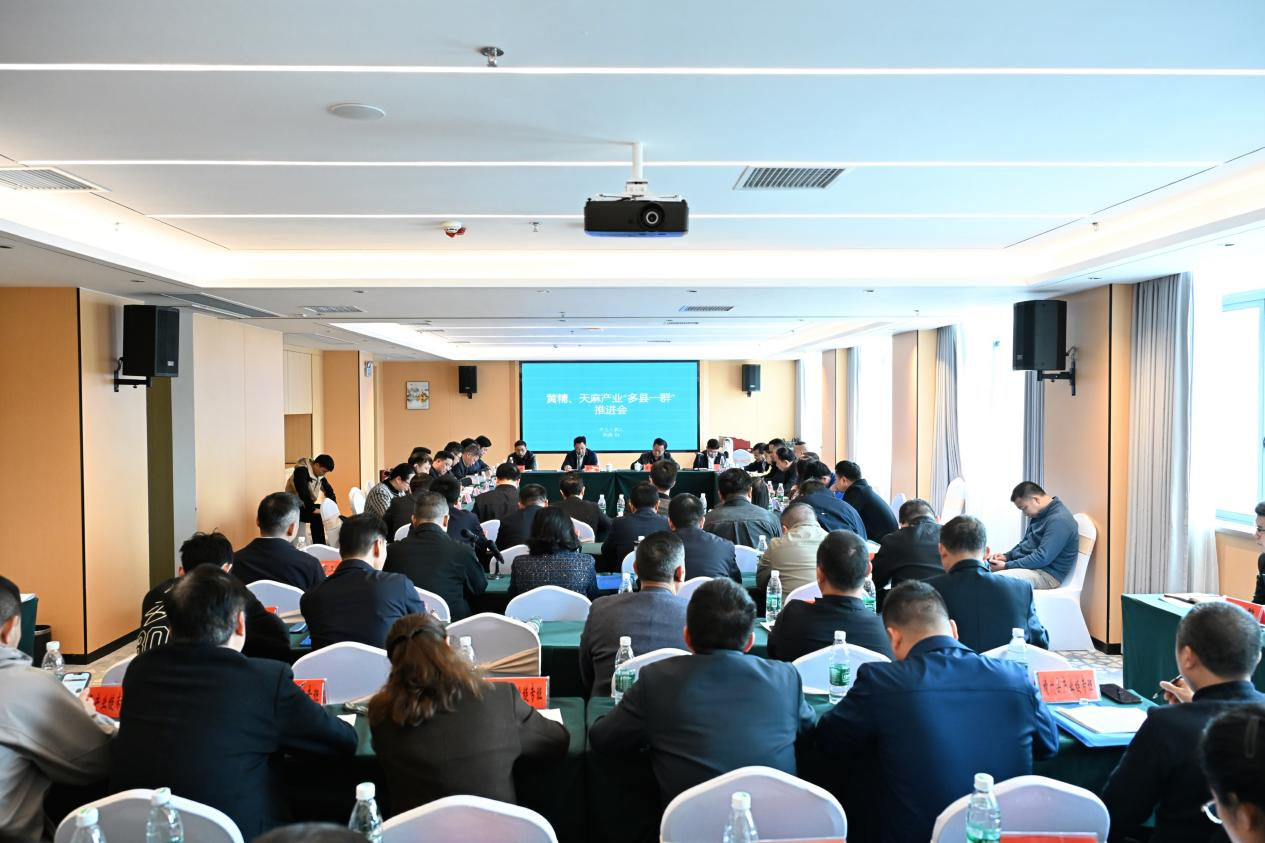 黄精、天麻产业“多县一群”推进会在洪江市召开