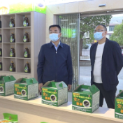 县领导调研农村客货邮融合发展工作