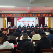 金紫仙镇第二届人民代表大会第三次会议胜利召开