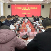 我县召开落实新“湘十条”项目包装工作调度会：坚决扛牢责任使命 用好用足用活政策