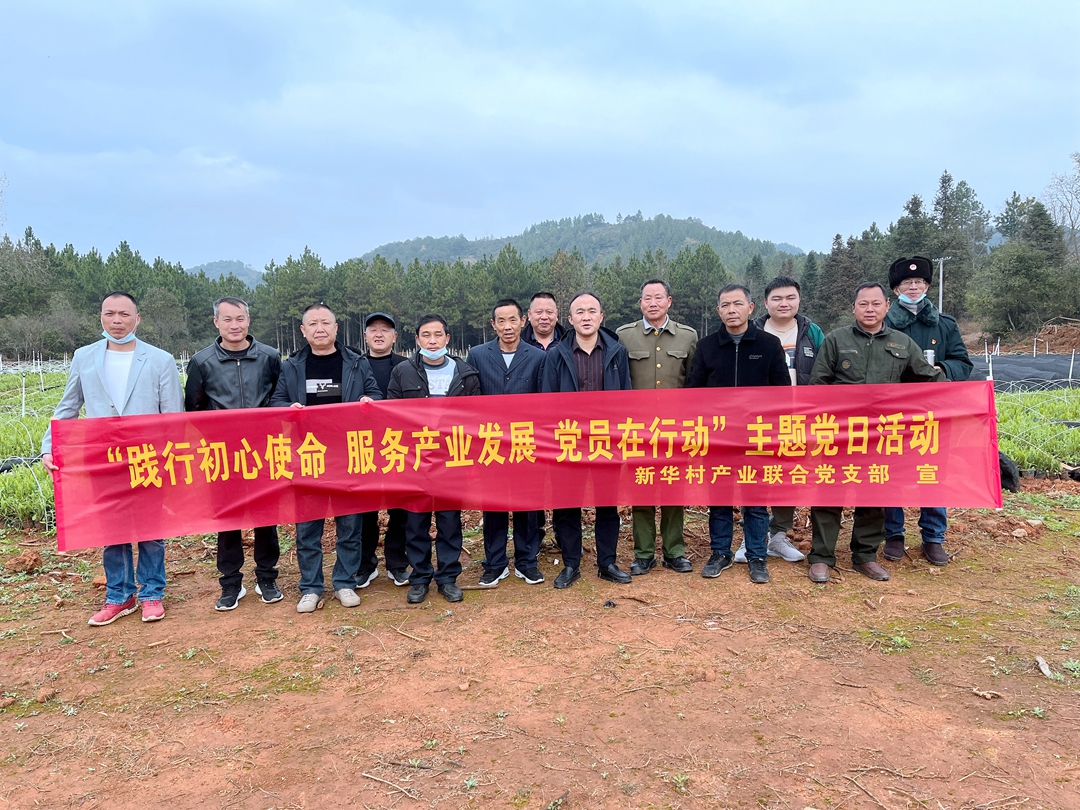 图片1.jpg 图片1.jpg