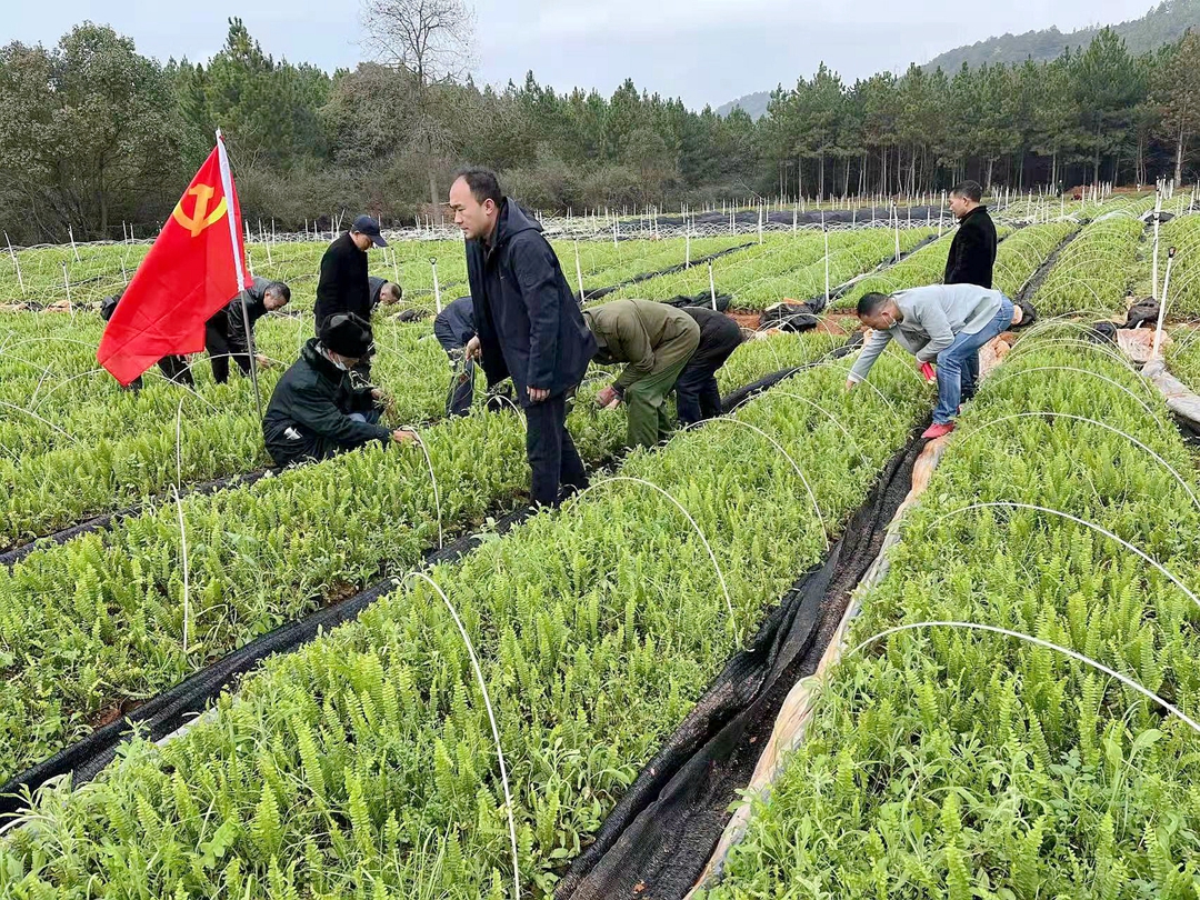 图片2.jpg 图片2.jpg