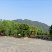 安仁龙市乡：党建引领+积分管理，助推环境卫生整治提质增效