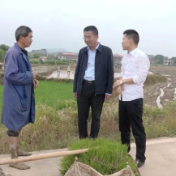 黄力调研平背乡农业生产工作