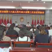 灵官镇第十六届人民代表大会第二次会议召开