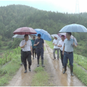 黄力到永乐江镇督导调研防汛工作