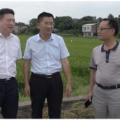 市农业农村局来安调研