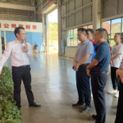 市委统战部调研督导安仁统战工作