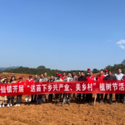 油茶种植兴产业 丘岗开发促振兴——金紫仙镇开展春季植树活动