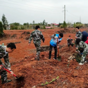 植树造林种希望 竹山民兵在行动