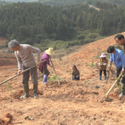 灵官镇项目建设如火如荼：开工即开战，起跑即冲刺