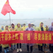 旅发进行时丨渡口乡开展“履‘植’尽责添新绿”主题党日活动