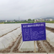 永乐江镇：立起责任牌，种好早稻生产责任田
