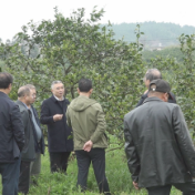 周常勇为我县柑橘产业发展把脉问诊