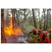 森林防火 人人有责！