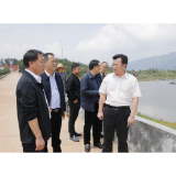 王洪灿调研防汛备汛、自建房整改和土地抛荒整治和工作