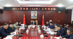 我县召开月度（11月）工作调度会