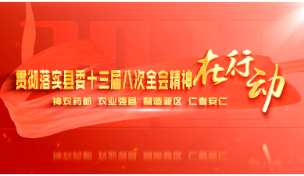 渡口乡：实干笃行聚合力，奋楫争先谋新篇