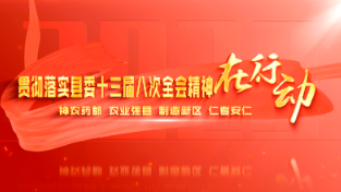 防风险 保安全 护稳定 促发展 为全县经济社会高质量发展提供坚强法治保障