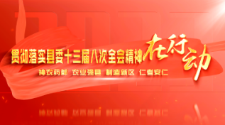锚定目标方向 忠诚履职担当 为推动安仁高质量发展保驾护航