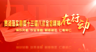 凝心聚力  攻坚克难  加快推进安仁教育高质量发展