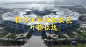 推动上合组织发展行稳致远