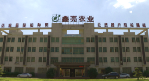 鑫亮粮油：诚信入企 行稳致远
