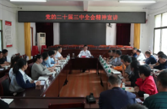 [人大代表进站履职暨“四下基层”]搭建“连心桥” 倾情“解民忧”