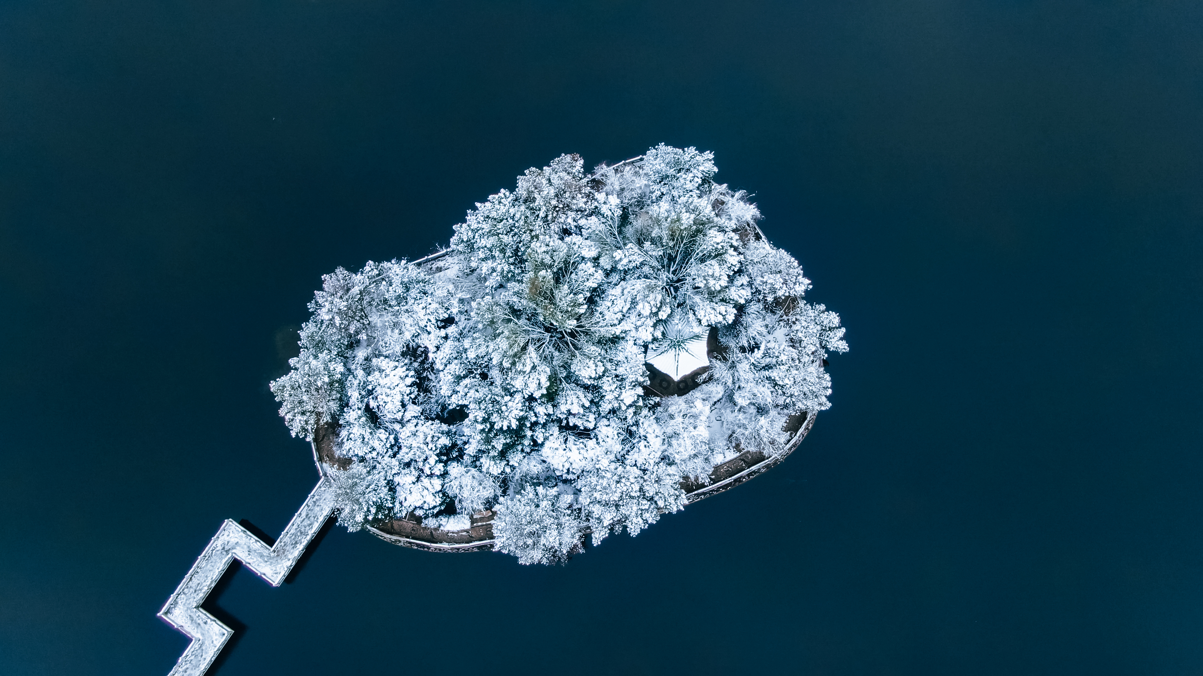 《雪花的敬意》.jpg