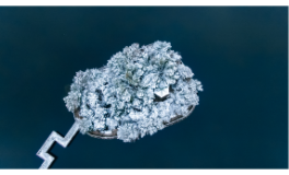 《雪花的敬意》